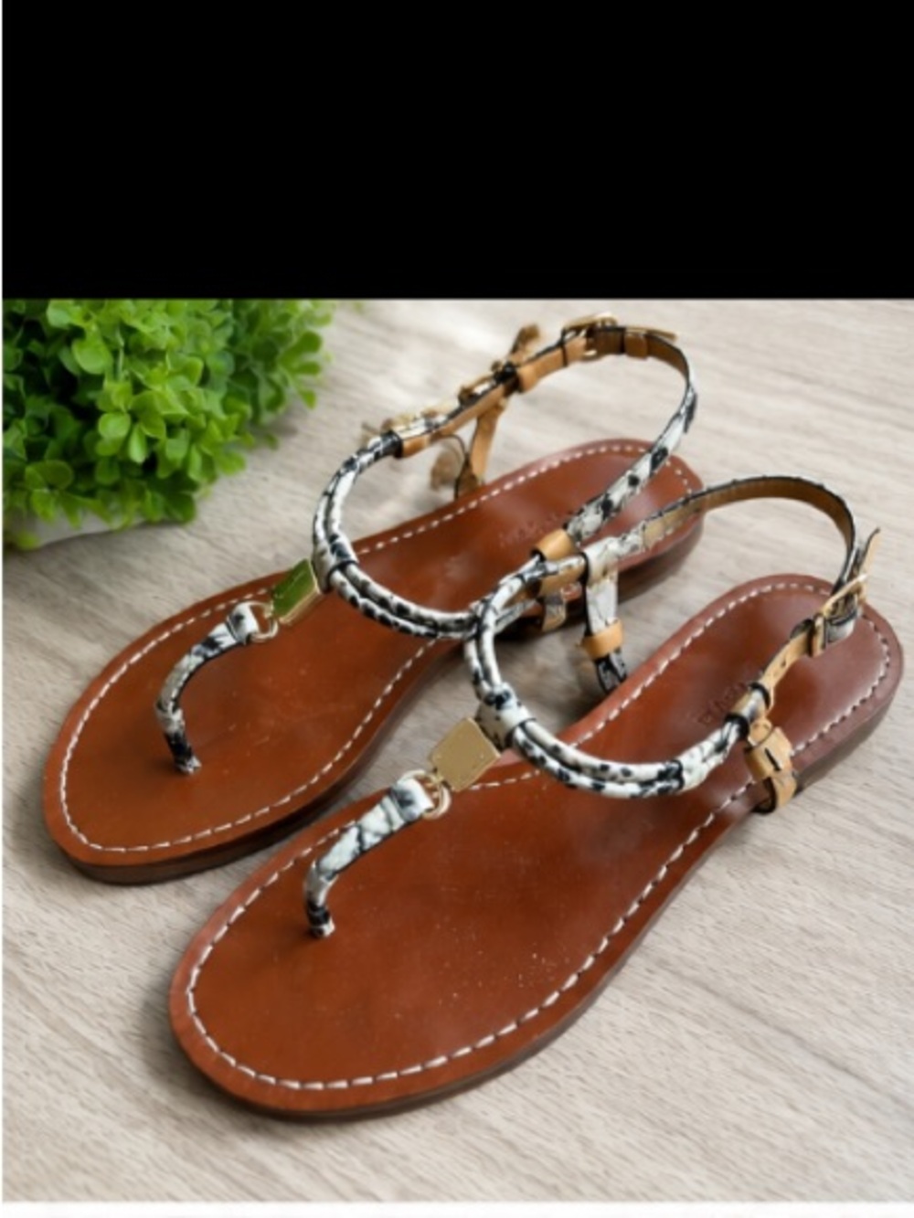 Coach Snakeskin Print Leather T Strap Sandals Gold Hardware Boho Size 8